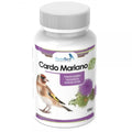 Cardo Mariano en Polvo Mejora Hepática y Digestiva para Canarios y Jilgueros