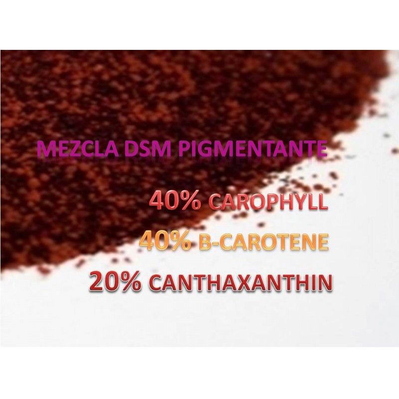 Mezcla DSM 40/40/20